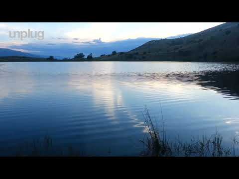 Unplug | Weight Loss Hypnosis | Rita Black