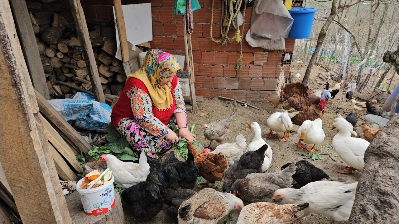 ‼️PAŞADAN AYRILMAK ÇOK ZOR GELDİ ŞÜKRÜ USTAYA ‼️