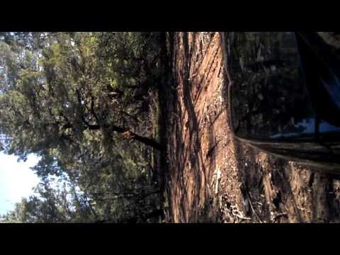 Durango Vacant Land For Sale Legacy Ranch