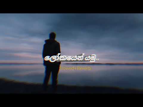 Lokayen yamu (ලෝකයෙන් යමු) | Slowed & Reverb