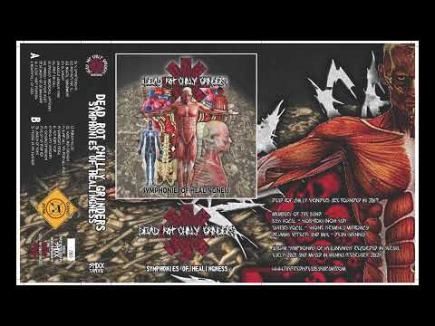 Dead Rot Chilly Grinders    SYMPHONIES OF HEALINGNESS PROMO