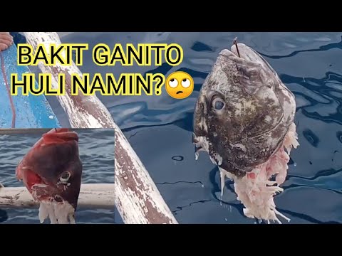 vlog10 | KITANG | The GOLIATH GROUPER and TREVALLY HUNTING - DAY 2 (7-21-20)