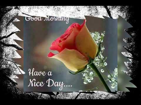 Narath happy birthday