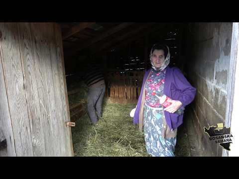 Kada smo krenuli da se lijećimo,rasprodasmo stado ovaca