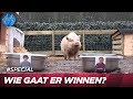 Katie voorspelt de winnaar van de boksbattle! | UTOPIA
