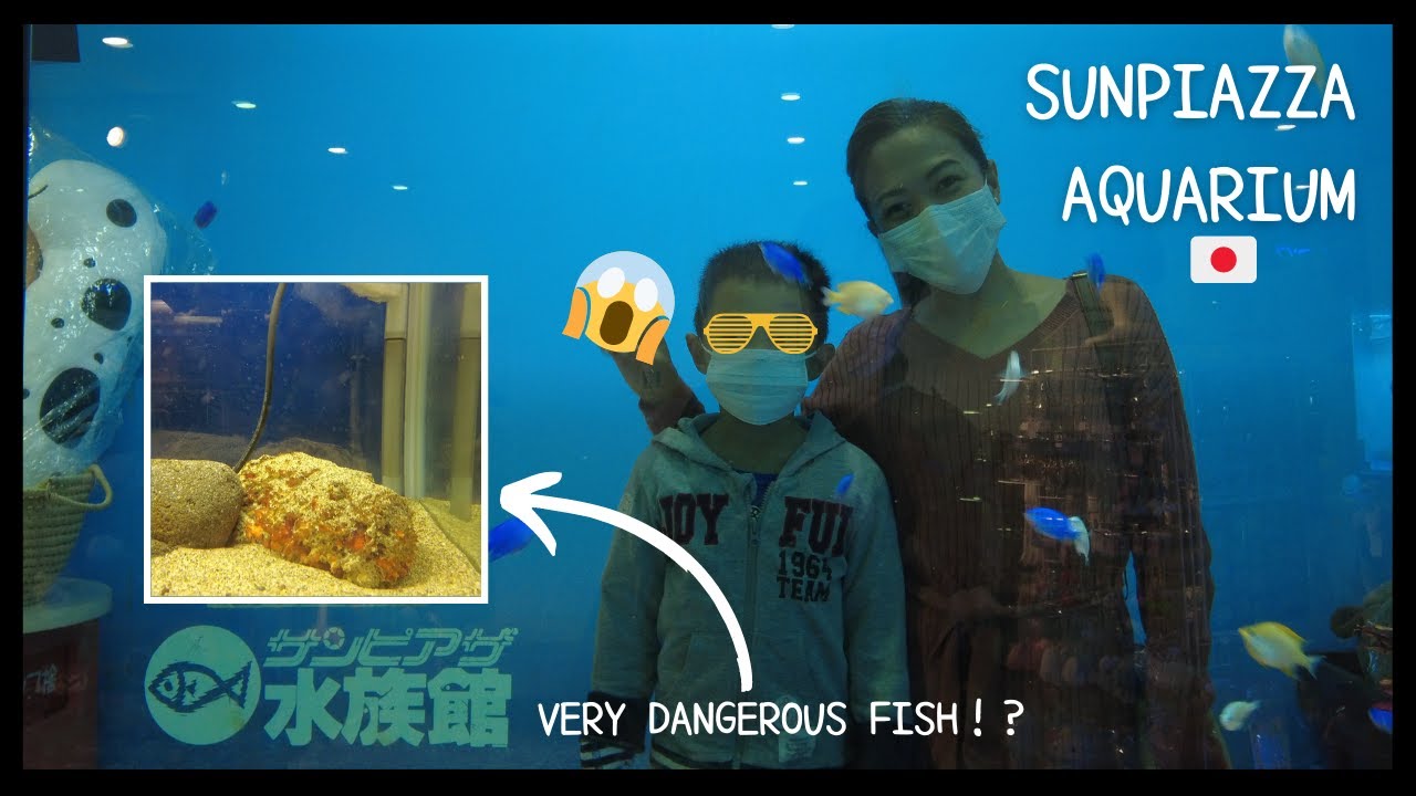 Embark on a virtual journey through the Sunpiazza Aquarium.