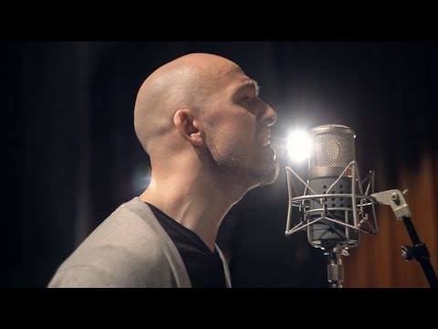 Albatross - Sverrir Bergmann