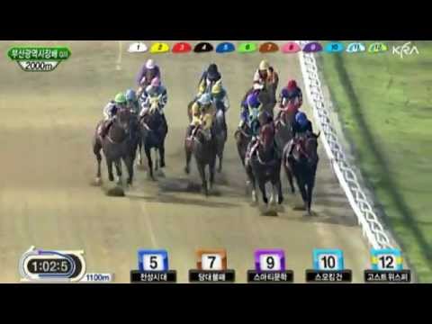 Busan Metropolitan City Stakes - Dangdae Bulpae