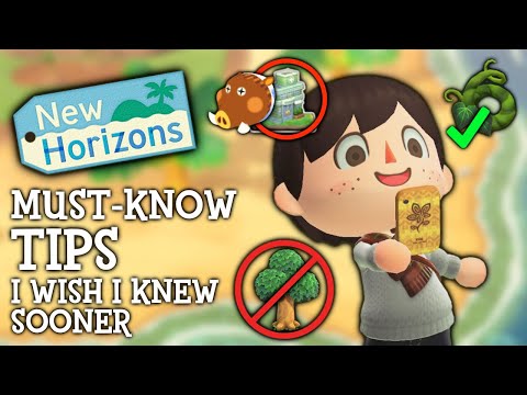 10 Useful Things I WISH I Knew Sooner In Animal Crossing New Horizons