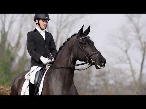 06 All Easy Stute v. All at once - Axis