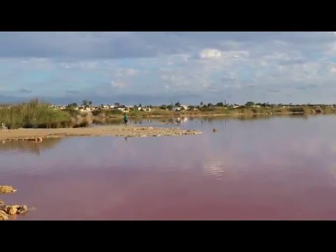 Der Salzsee von Torrevieja