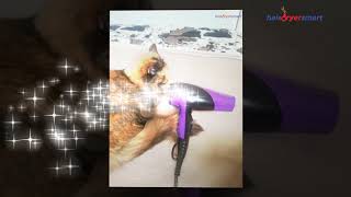 Remington D3190 Damage Protection Hair Dryer Review