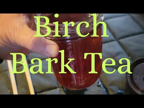 Birch Bark Tea