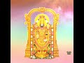 Purattasi Masam Perumal WhatsApp Status Thirupathi Perumal Status Lord Perumal