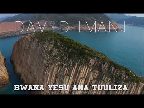 BWANA YESU ANATUULIZA / NYIMBO ZA WOKOVU BY DAVID IMANI