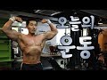 어깨 이두 사이즈 키우기 운동루틴 l 운동전후 섭취하는 보충제