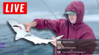 Offshore Fishing Live (caught a shark!)