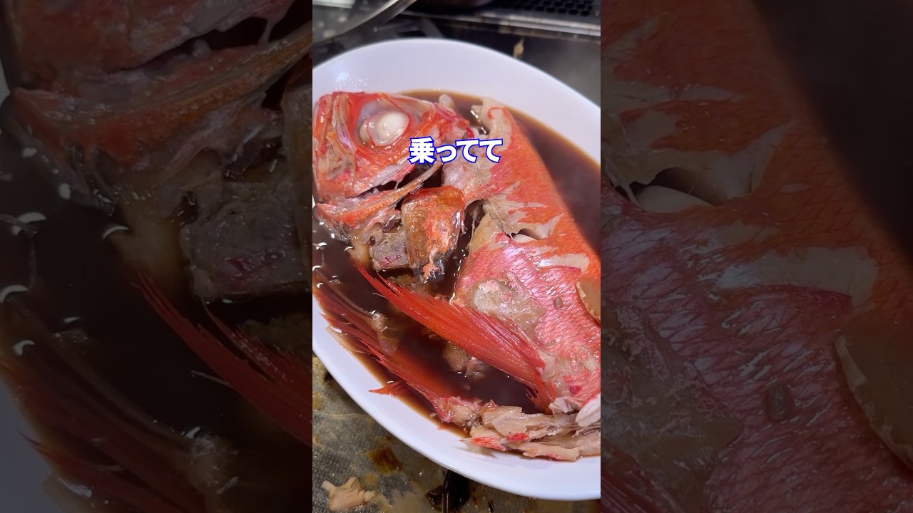 追尾弾feat.金目鯛の煮付け #shorts #料理