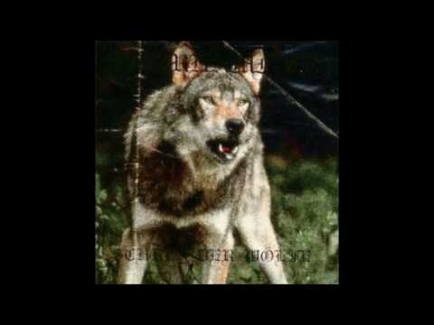 Wehrhammer - Blutrausch