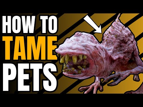 Fallout 76 Taming Guide | How To Get Pets For Your Camps!