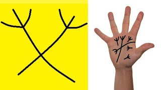 Do You Have This Lucky Trident/Trishul Sign In Your Hands?-Palmistry