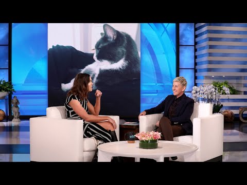 マンディ・ムーアと猫、そして夫が完璧なヴォーカル・トリオを作る (Mandy Moore, Her Cat, & Her Husband Make the Perfect Vocal Trio)