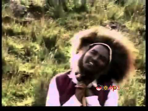 Melaku Chalchisa - Nooruu [Oromo Music]