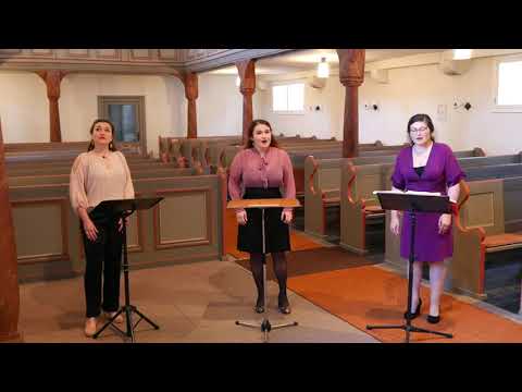 Konzert 17. Mai 2020 Vokalensemble Cantus Aureus Track 2/6 Hugo Distler: Er ist's