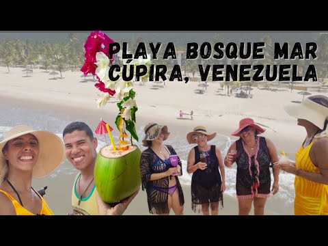 Playa Bosque Mar | Cúpira | Boca de Uchire | Estado Miranda | Troncal 9 | Venezuela | 2022 | 4K