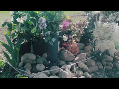 Mucho Balmain- No label (remix)