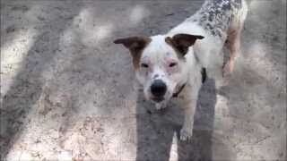 An Update on the Enchanting Emma!