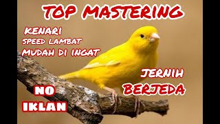 Download lagu mastering kenari speed lambat biar mudah di ingat mp3