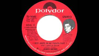 1973 HITS ARCHIVE: I Got Ants In My Pants (And I Want To Dance) (Part 1) - James Brown