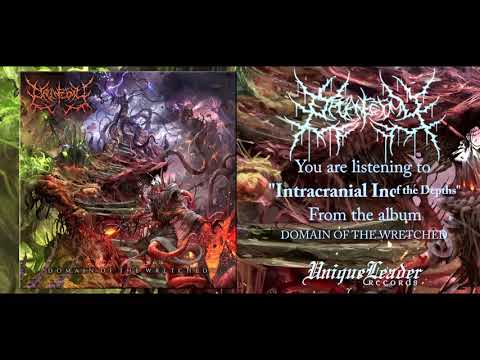 Organectomy - Domain of the Wretched (FULL ALBUM HD AUDIO)