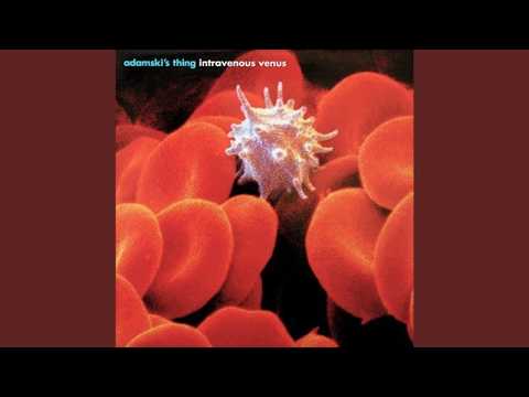 Adamski's Thing - Intravenous Venus (Radio Edit)