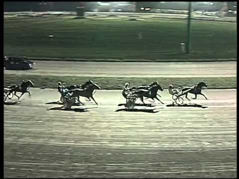 Trotto 16/12/2014 - 6° corsa