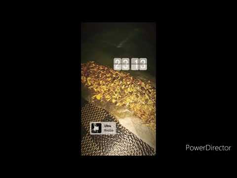 JUL X GIMS X SCH - GNS (audio officiel)