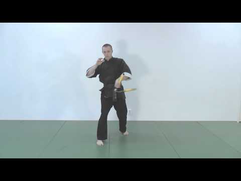 Green belt - Nunchaku form