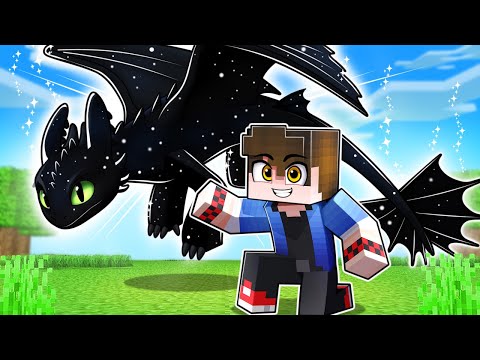 THE COSMIC NIGHT FURY in HOW TO TRAIN YOUR DRAGON Minecraft!
