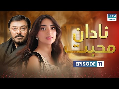 Pakistani Drama | Nadaan Muhabbat- Episode 11 | Aplus | Noman Ijaz, Saboor Ali,Salman Shahid | C7A1O