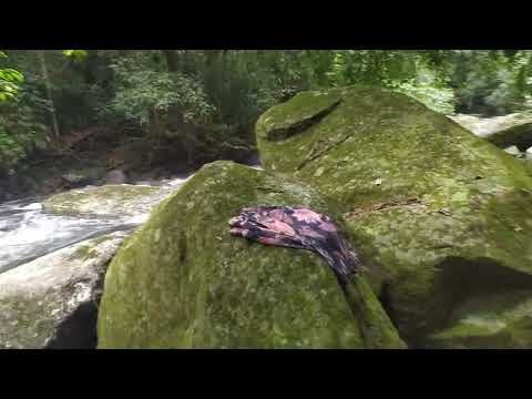 GASTALHA CACHOEIRAS DE MACACU RJ !!!