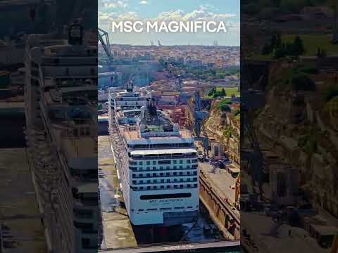 Thumbnail for MSC CRUISES