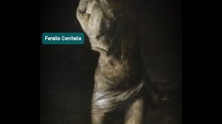 Feralia Genitalia - Sopor Aeternus - Lyrics y Subtitulado al Español