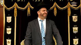 הרב אדיר עמרוצי - הילולת הבאבא סאלי תשפ'ה