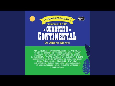 Por las Buenas / Las Tres Perlas / Valencia Señorial / Manuelito Barrios / La Hamaca Rayá / La...