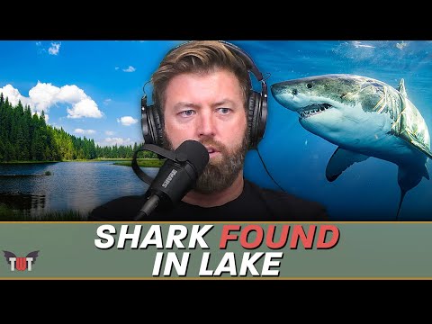 Great White Shark Found in Lake, Man Attacked By Flying Shark, & Shark Week