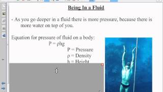 Sec 13 3 Fluids at Rest and in Motion