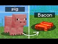 I Made Your Dumb Custom Mob Ideas In Minecraft 1.20