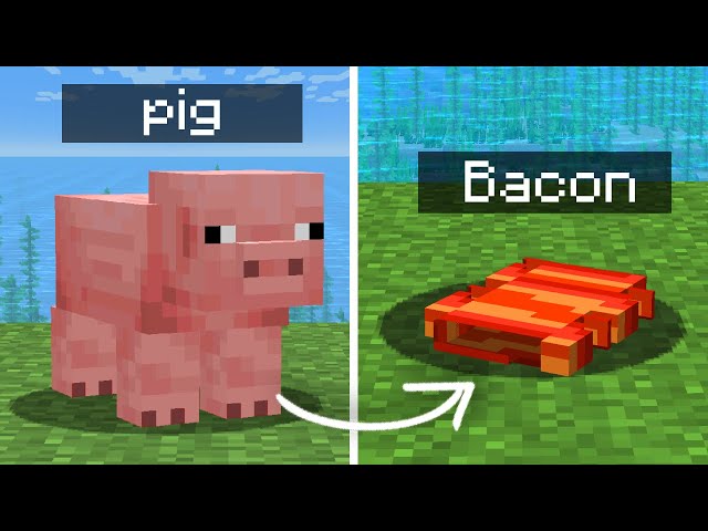 I Made Your Dumb Custom Mob Ideas In Minecraft 1.20