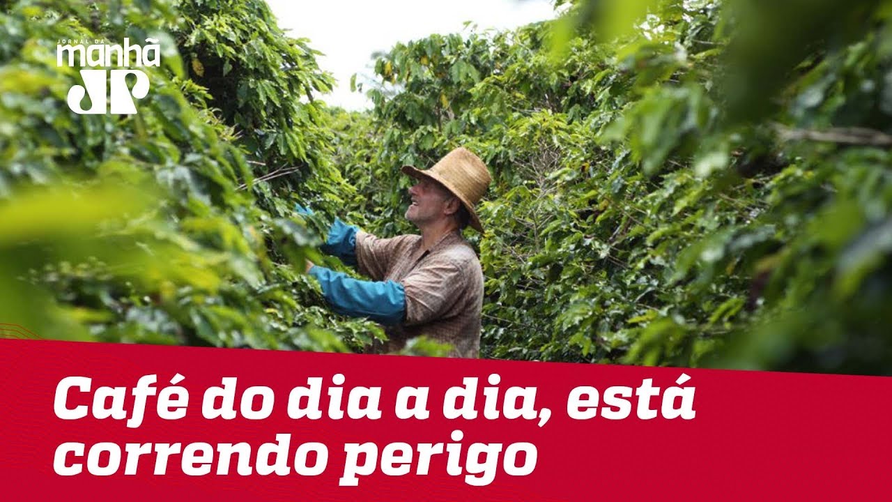 youtube video id=aI77gwr_WaA